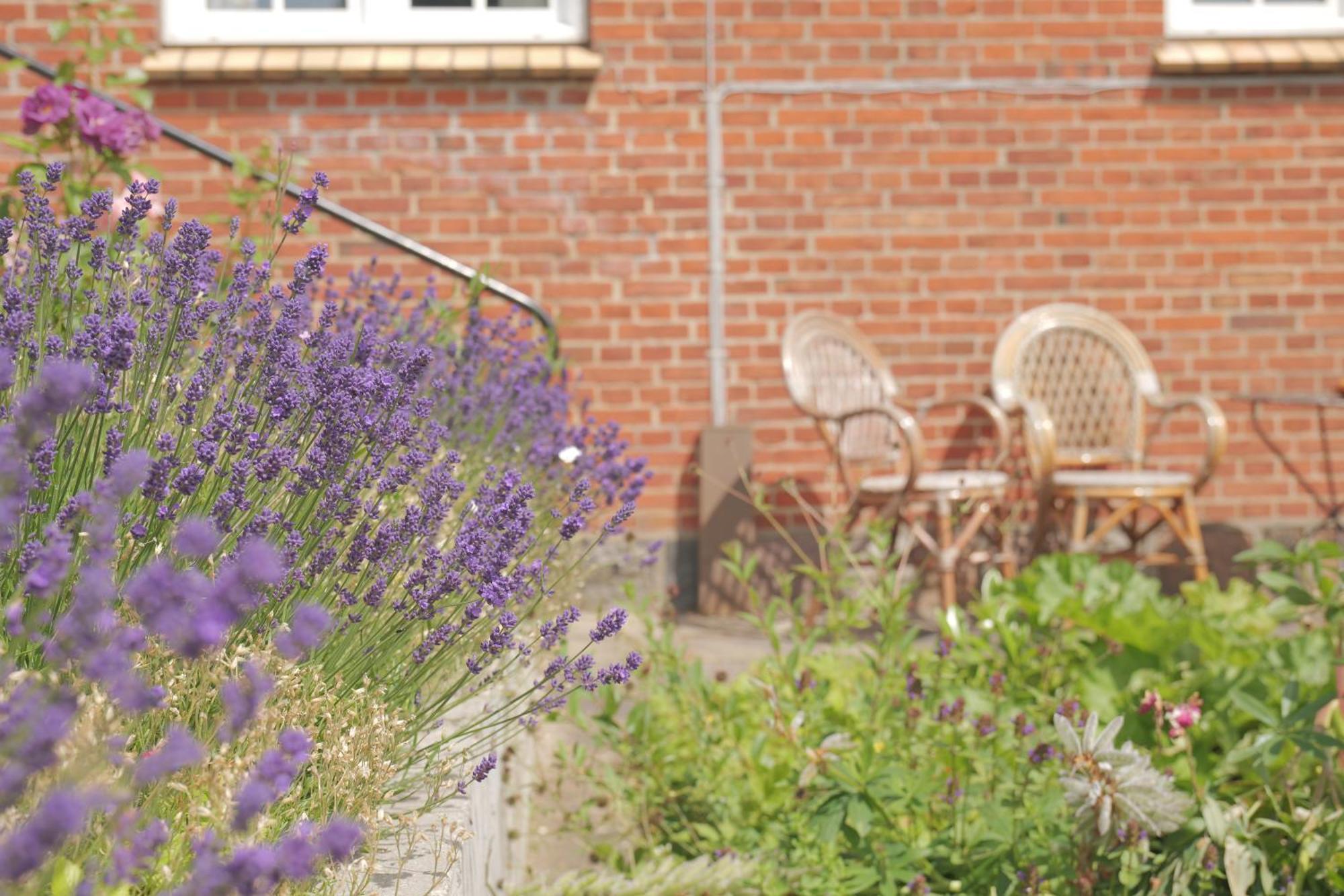 Bed and Breakfast Huset I Hejls Esterno foto